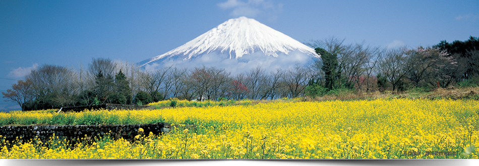 静岡県の商業教育